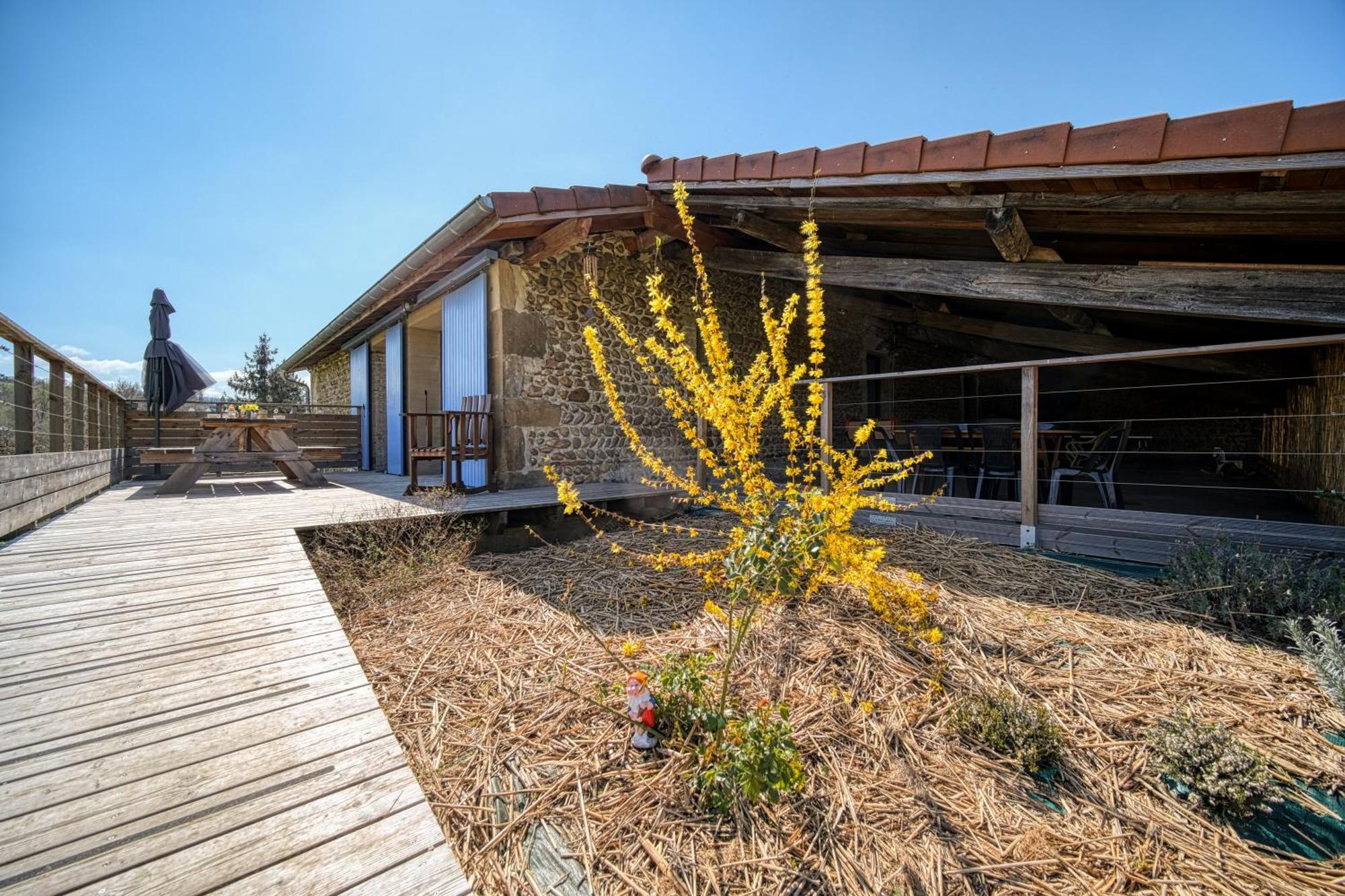 Maison Michonieres - Gite 3 Etoiles - 8 Personnes Miribel  エクステリア 写真