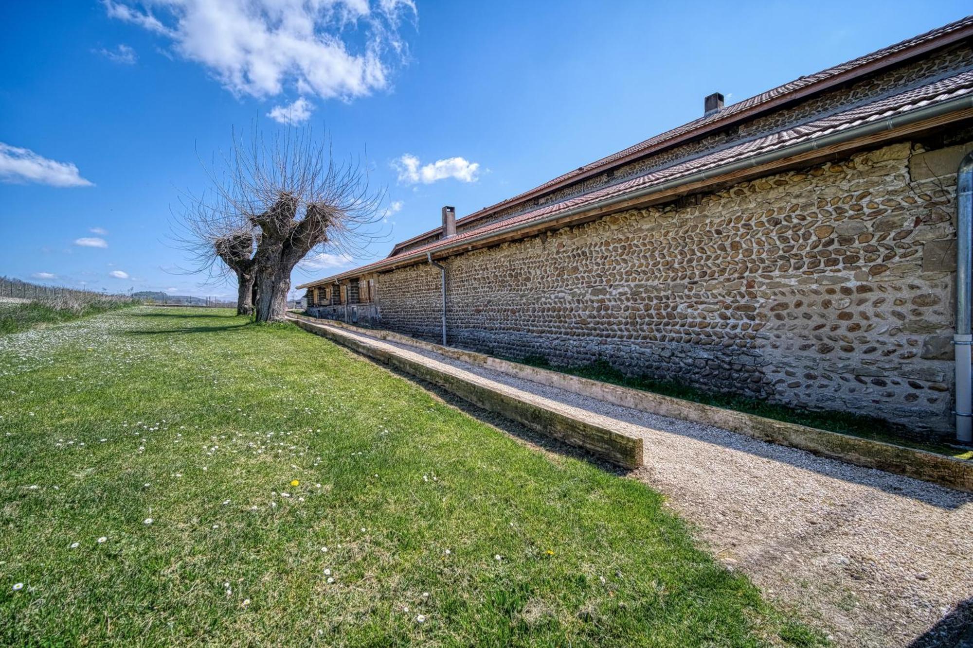 Maison Michonieres - Gite 3 Etoiles - 8 Personnes Miribel  エクステリア 写真