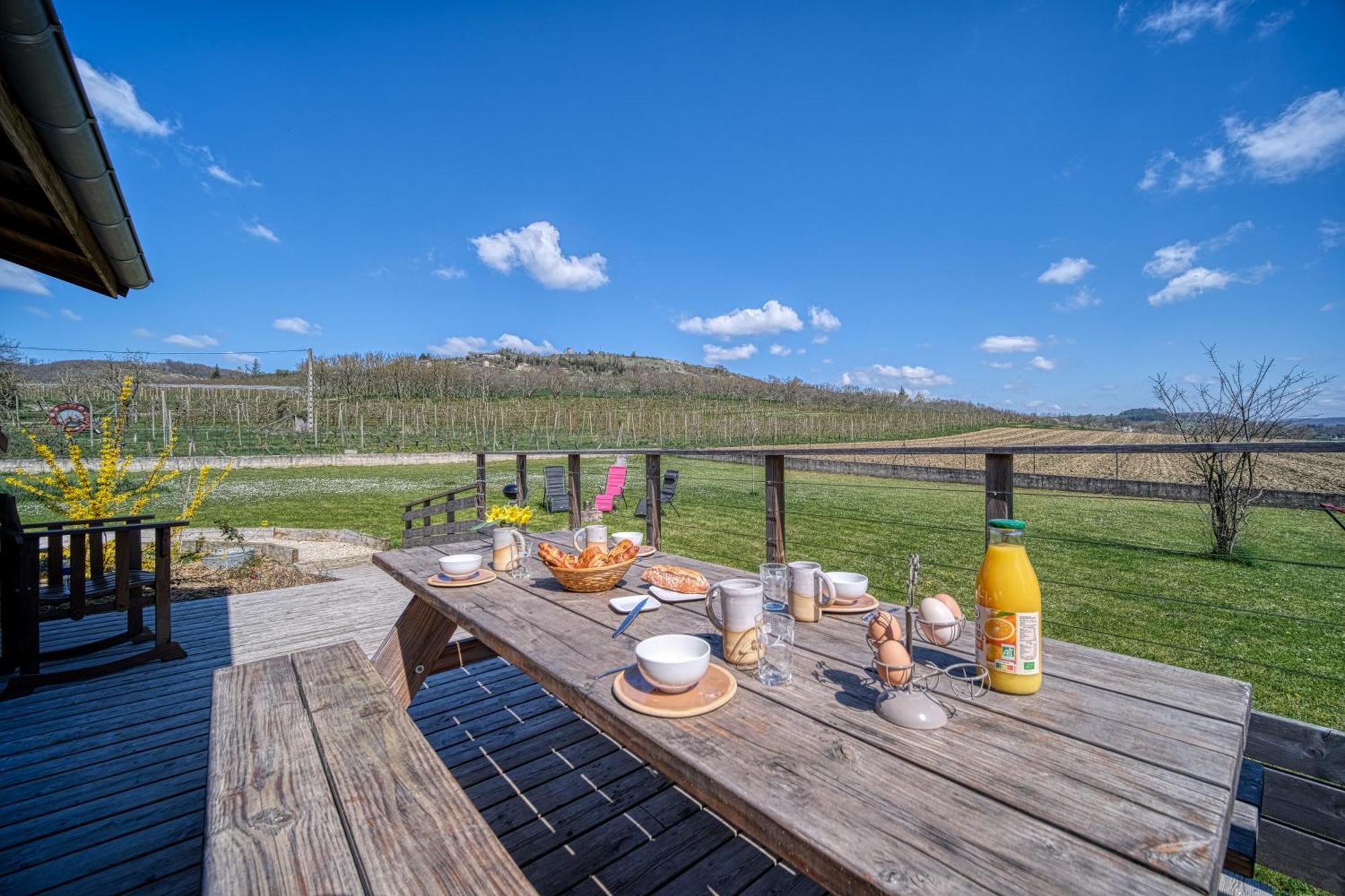 Maison Michonieres - Gite 3 Etoiles - 8 Personnes Miribel  エクステリア 写真